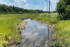 Photo of Wissahickon Creek restoration project at its headwaters